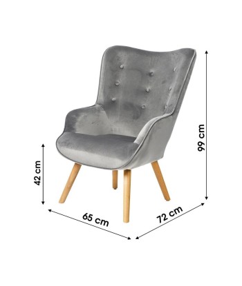 Fauteuil De Salon Velours Gris hantent personnes