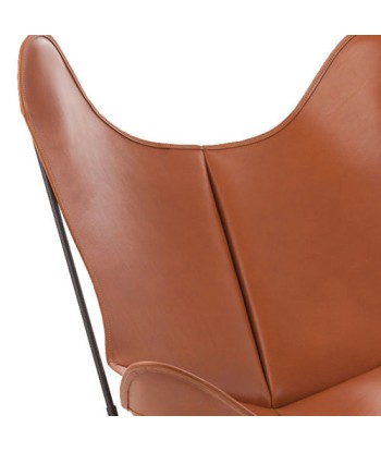 Housse fauteuil AA, cuir En savoir plus