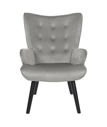 Fauteuil De Salon Giulia En Velours Gris français