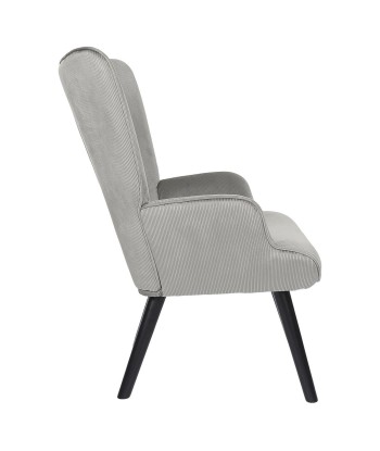 Fauteuil De Salon Giulia En Velours Gris français