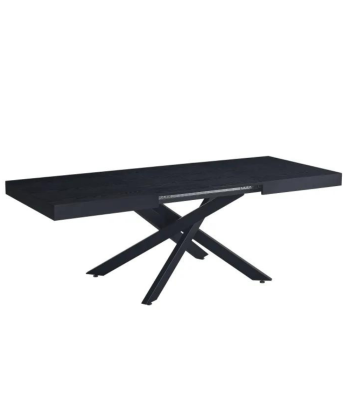 Table à Manger en Chêne Noir Extensible Balni offre 