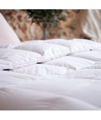 Couette Luxe naturelle 240x260cm Duvet Made in France Fin de série