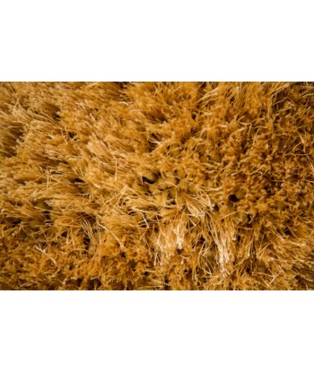 Tapis Shaggy 120x170cm soldes