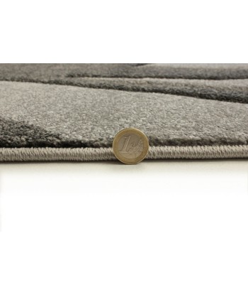 Tapis Elude Gris Véritable concentré