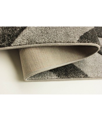 Tapis Elude Gris Véritable concentré