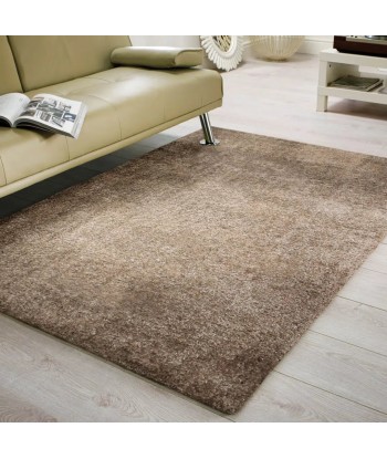 Tapis shaggy 120x170cm Comparez et commandez 