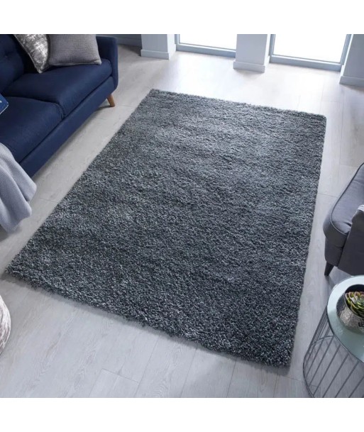 Tapis Shaggy Anthracite une grave pollution 