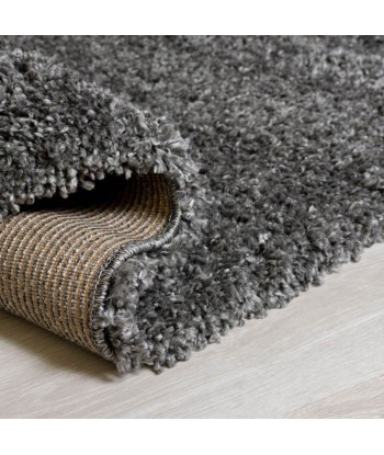 Tapis Shaggy Anthracite une grave pollution 