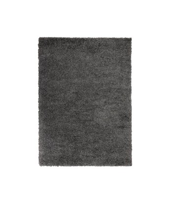 Tapis Shaggy Anthracite une grave pollution 