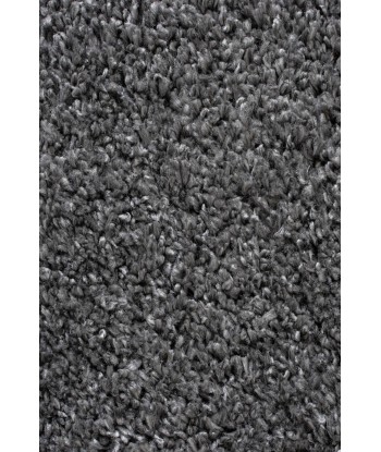 Tapis Shaggy Anthracite une grave pollution 