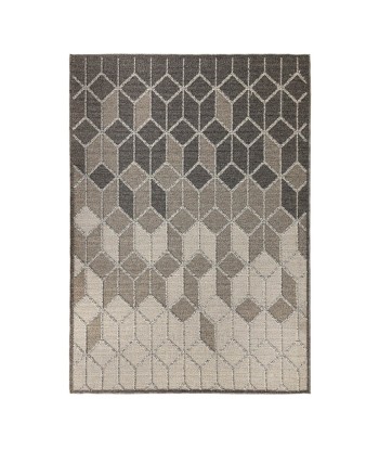 Tapis Darmouth 120x170cm en ligne