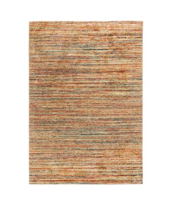 Tapis Multicolore LIZA 120x170cm pas cheres