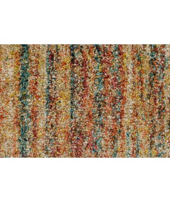 Tapis Multicolore LIZA 120x170cm pas cheres