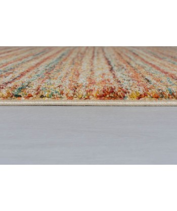 Tapis Multicolore LIZA 120x170cm pas cheres