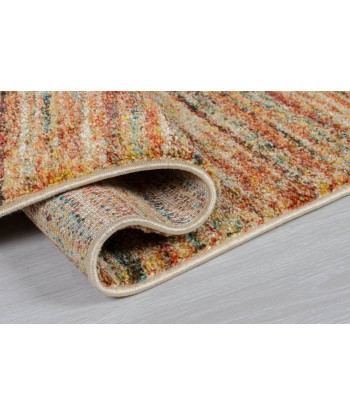 Tapis Multicolore LIZA 120x170cm pas cheres