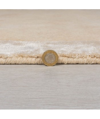 Tapis en laine Amaya champagne 200x290cm pas cher