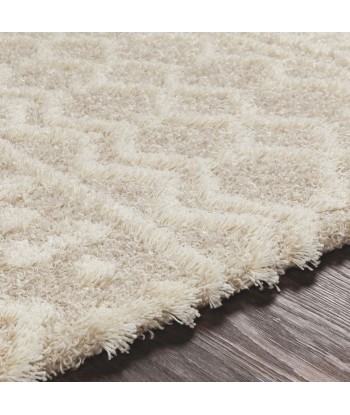 Tapis shaggy Nour pour bénéficier 