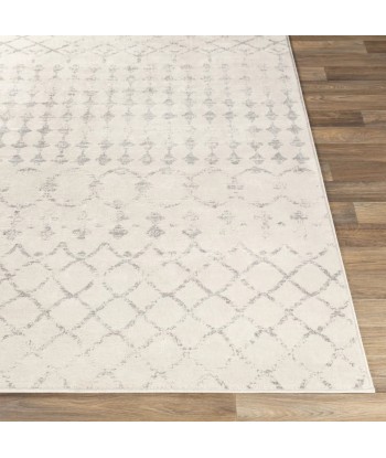 Tapis style Berbere Sofia 160x215cm acheter