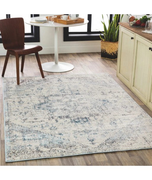 Tapis vintage Lya 160x213cm pas chere