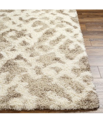 Tapis Paula 160x220cm une grave pollution 