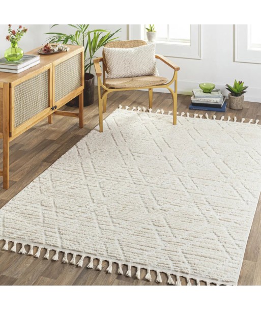 Tapis Jasmine 160x213cm suggérées chez