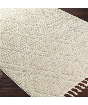 Tapis Jasmine 160x213cm suggérées chez