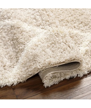 Tapis shaggy Judy 160x220cm de l' environnement