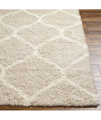 Tapis shaggy Judy 160x220cm de l' environnement