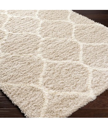 Tapis shaggy Judy 160x220cm de l' environnement