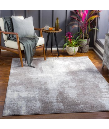 Tapis Giulia taupe 160x220cm Comparez plus de prix