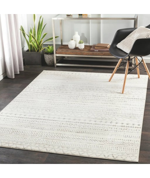 Tapis Bianca Gris hantent personnes