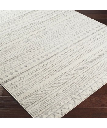 Tapis Bianca Gris hantent personnes