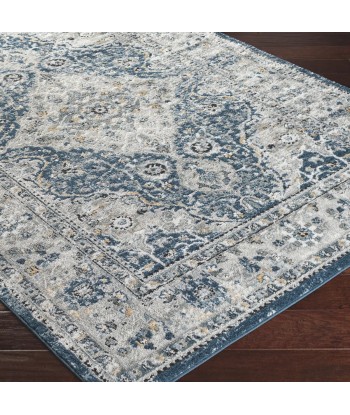 Tapis Vintage Petra 160x220cm Dans la société mordern