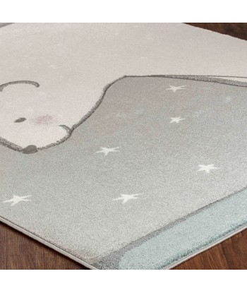 Tapis enfant ourson 120x170cm shop