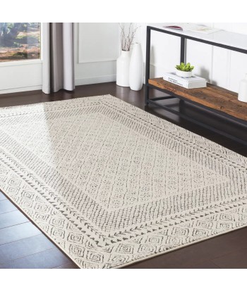 Tapis Ambre 160x220cm Comment ça marche