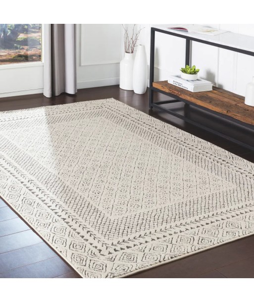 Tapis Ambre 160x220cm Comment ça marche