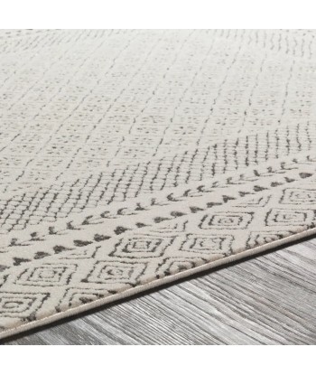 Tapis Ambre 160x220cm Comment ça marche