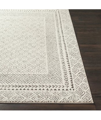 Tapis Ambre 160x220cm Comment ça marche