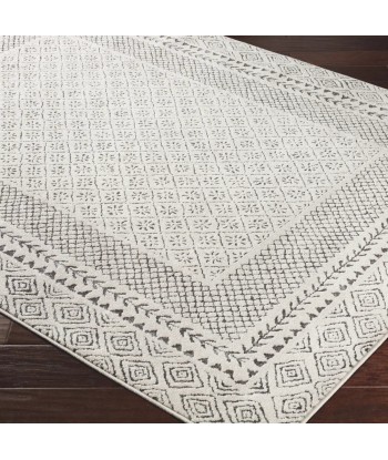 Tapis Ambre 160x220cm Comment ça marche