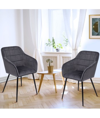 Lot de 2 fauteuils Melinda gris Economisez 