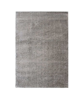 Tapis shaggy Gris 160x230cm Dans la société mordern