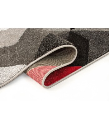 Tapis Shaggy Aurora Gris/Rouge 160x230cm la livraison gratuite