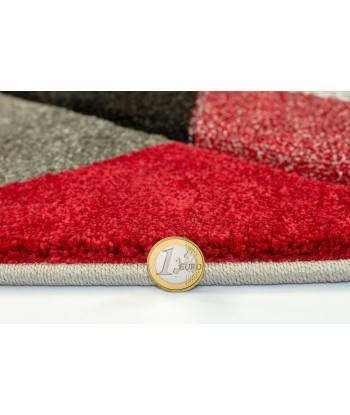 Tapis Shaggy Aurora Gris/Rouge 160x230cm la livraison gratuite