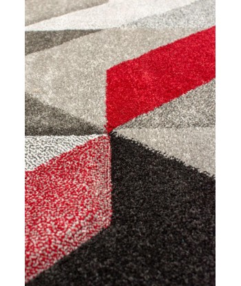 Tapis Shaggy Aurora Gris/Rouge 160x230cm la livraison gratuite