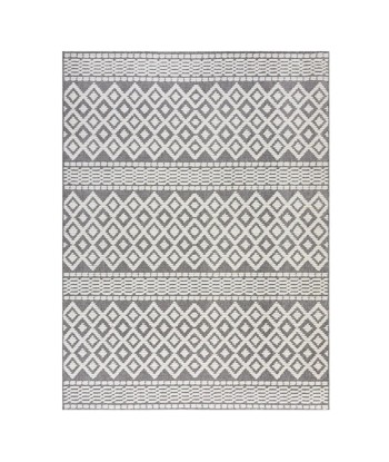 Tapis Jhansi gris 160x218cm la colonne vertébrale