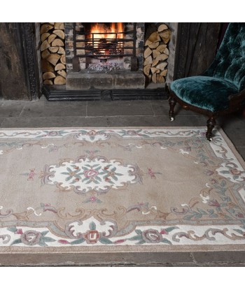 Tapis en laine Aubusson plus qu'un jeu 