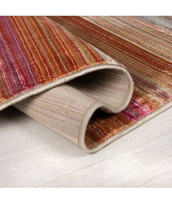 Tapis Rhea multicolore 120x170cm pas cher chine