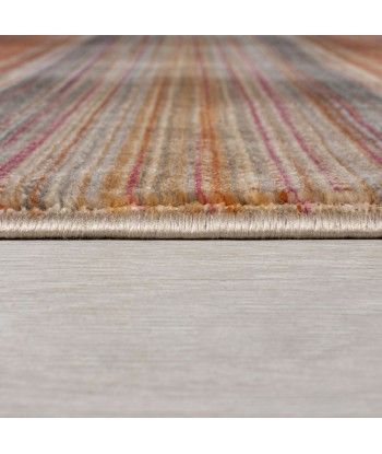 Tapis Rhea multicolore 120x170cm pas cher chine