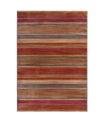 Tapis Rhea multicolore 120x170cm pas cher chine