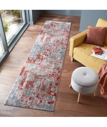 Tapis de couloir vintage gris et rouge 80x300cm la livraison gratuite